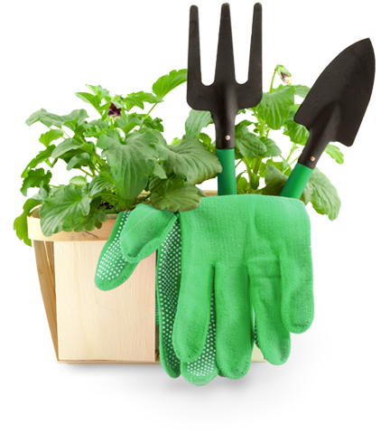 Gardening Image Free HD Image Transparent PNG Image