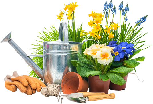 Gardening Picture Free Download PNG HD Transparent PNG Image