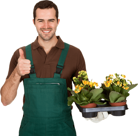 Gardening PNG File HD Transparent PNG Image