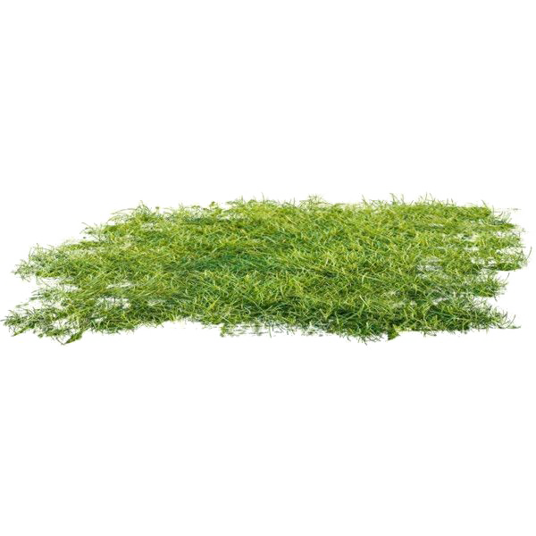 Ground Free Transparent Image HQ Transparent PNG Image