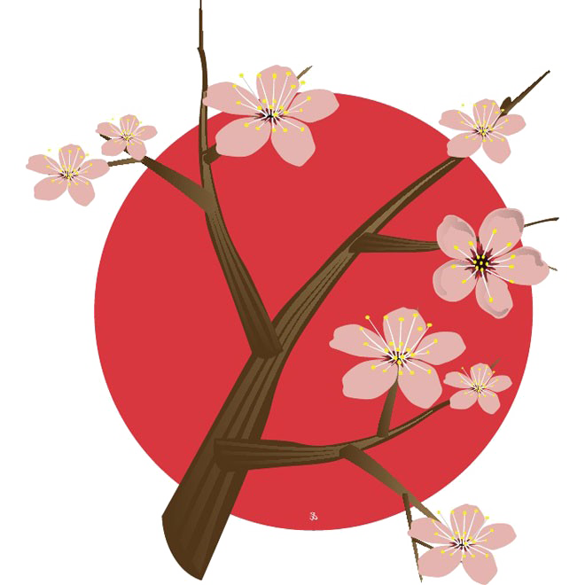 Japanese Flowering Cherry Download Free Clipart HD Transparent PNG Image