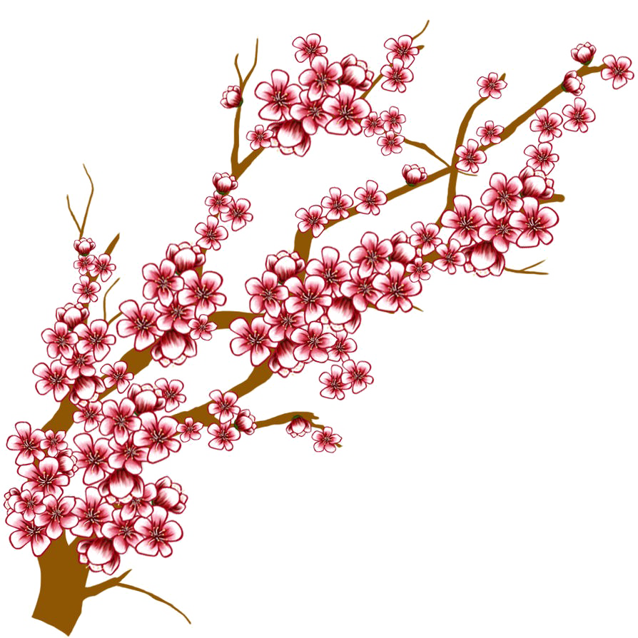 Japanese Flowering Cherry HQ Image Free PNG Transparent PNG Image