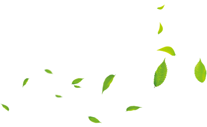 Small Leaves Green Cartoon Download Free Image Transparent PNG Image