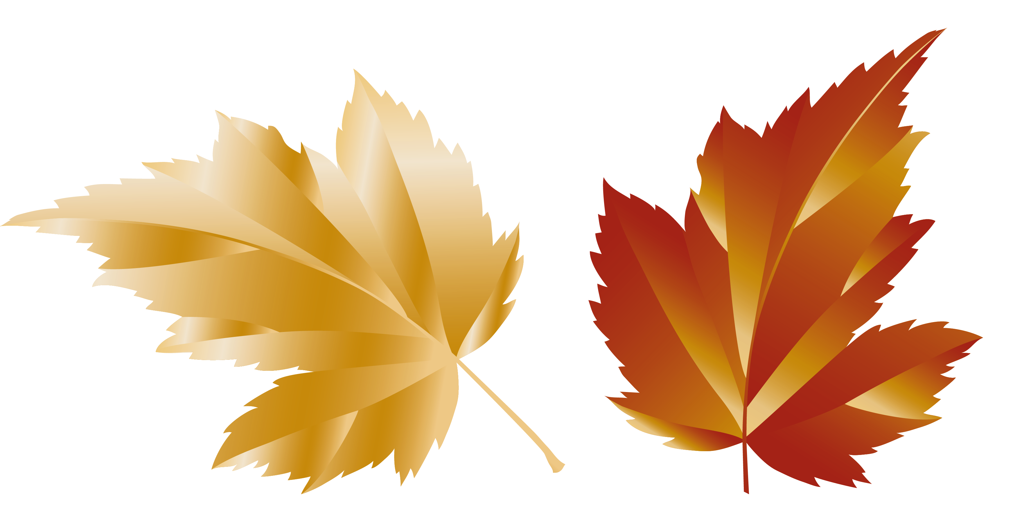 Autumn Plant Leaf Maple Free PNG HQ Transparent PNG Image