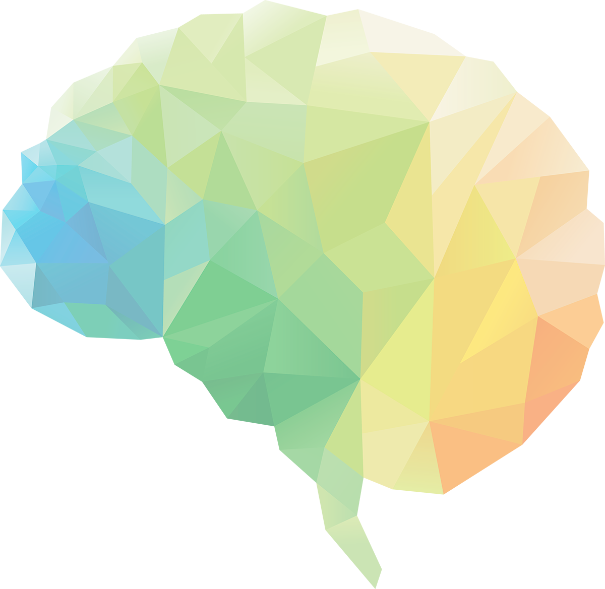 Brain Circle Leaf Human Neuroscience PNG Free Photo Transparent PNG Image