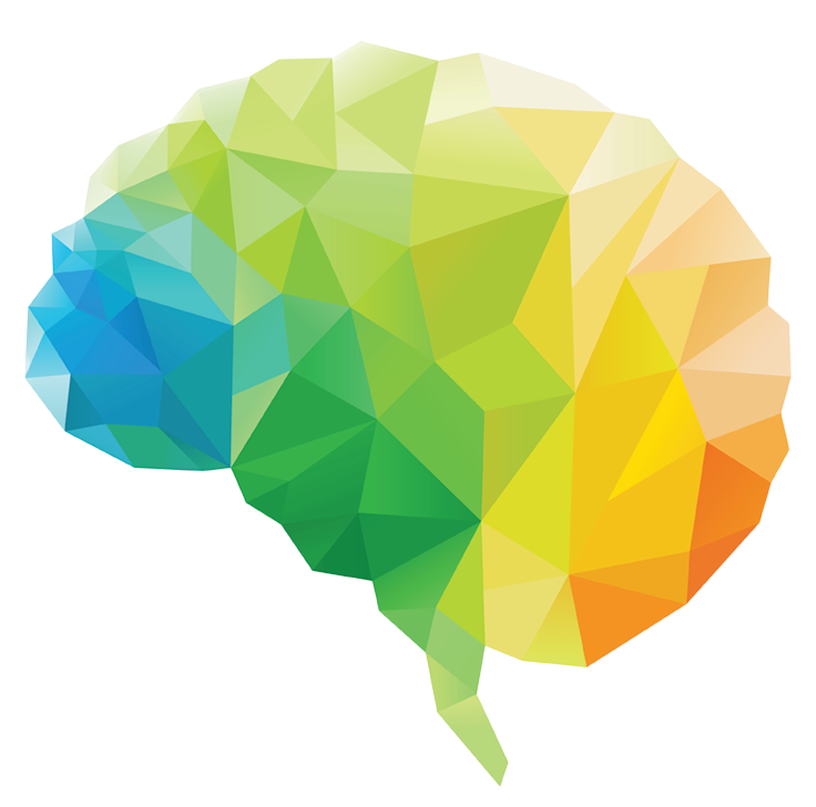 Brain Green Leaf Polygon Human Download HD PNG Transparent PNG Image