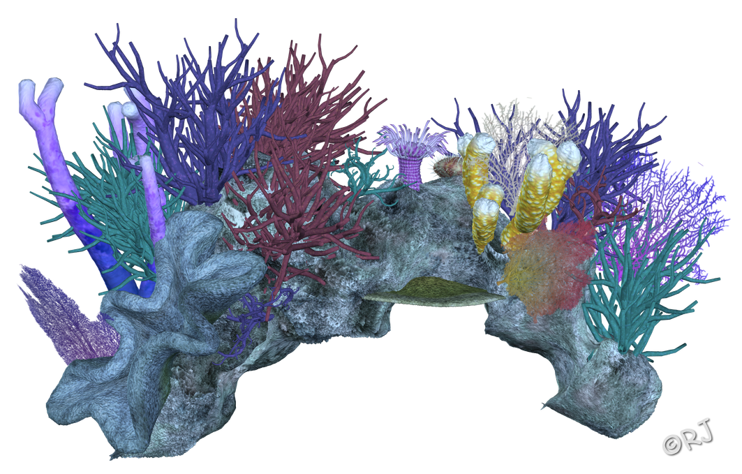 Decor Coral Invertebrate Aquarium Reef Invertebrates Marine Transparent PNG Image