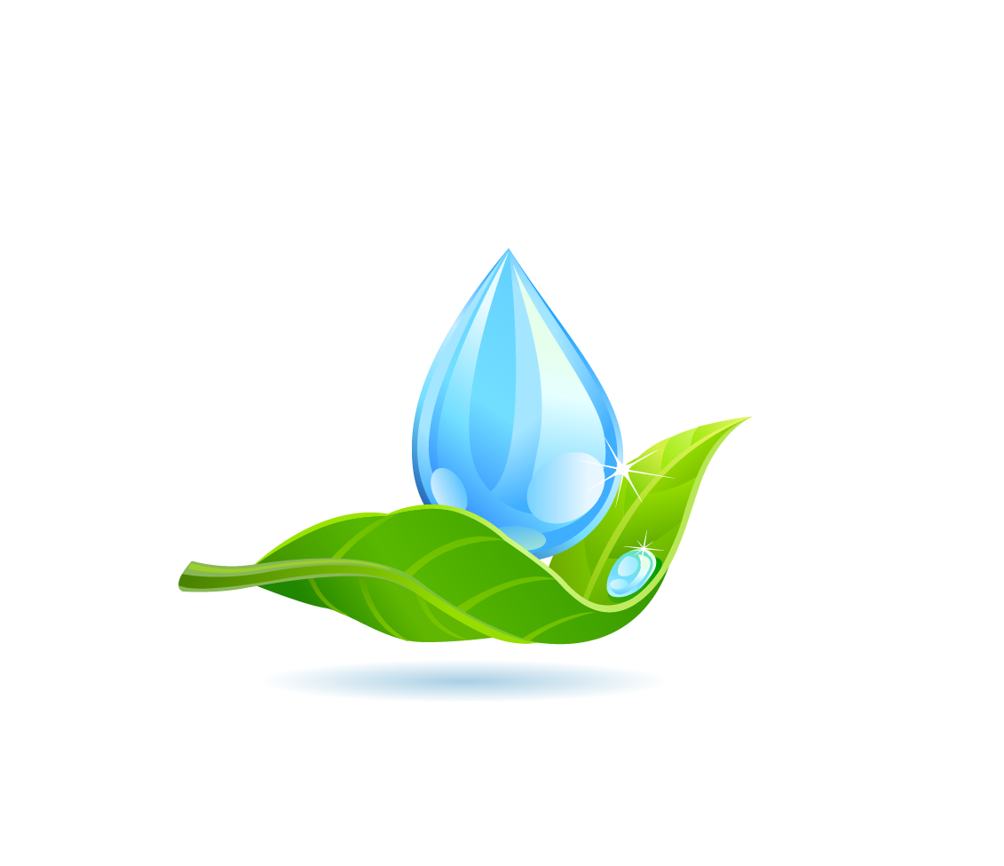 Water Drop Leaf Dew Free Download PNG HD Transparent PNG Image