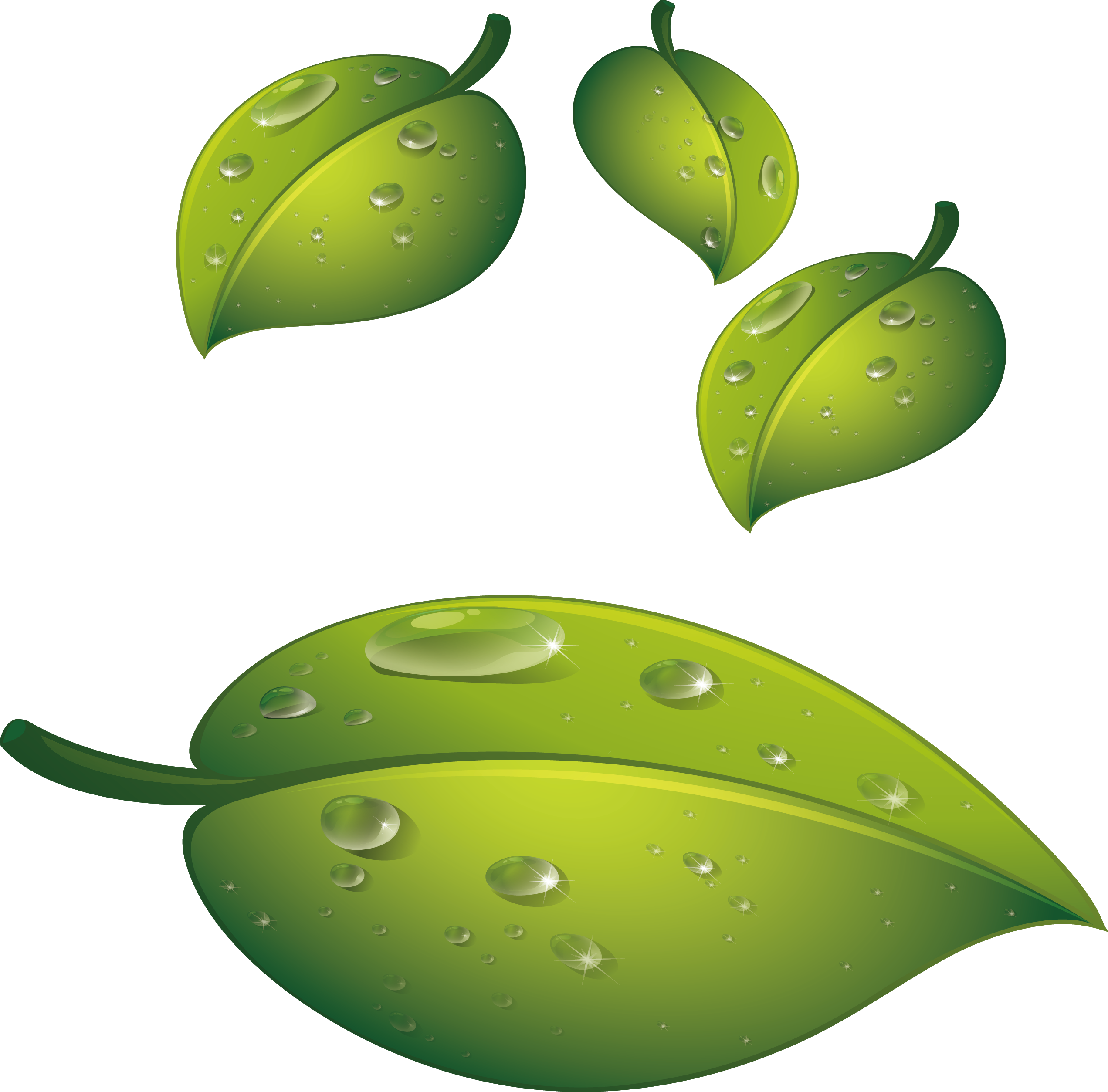 Water Drop Leaf Dew Free Transparent Image HQ Transparent PNG Image