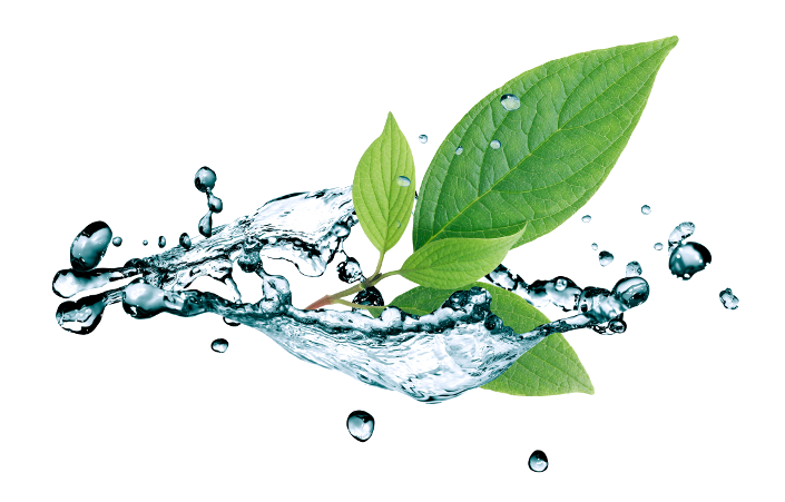 Water Picture Drop Leaf Free Download PNG HD Transparent PNG Image