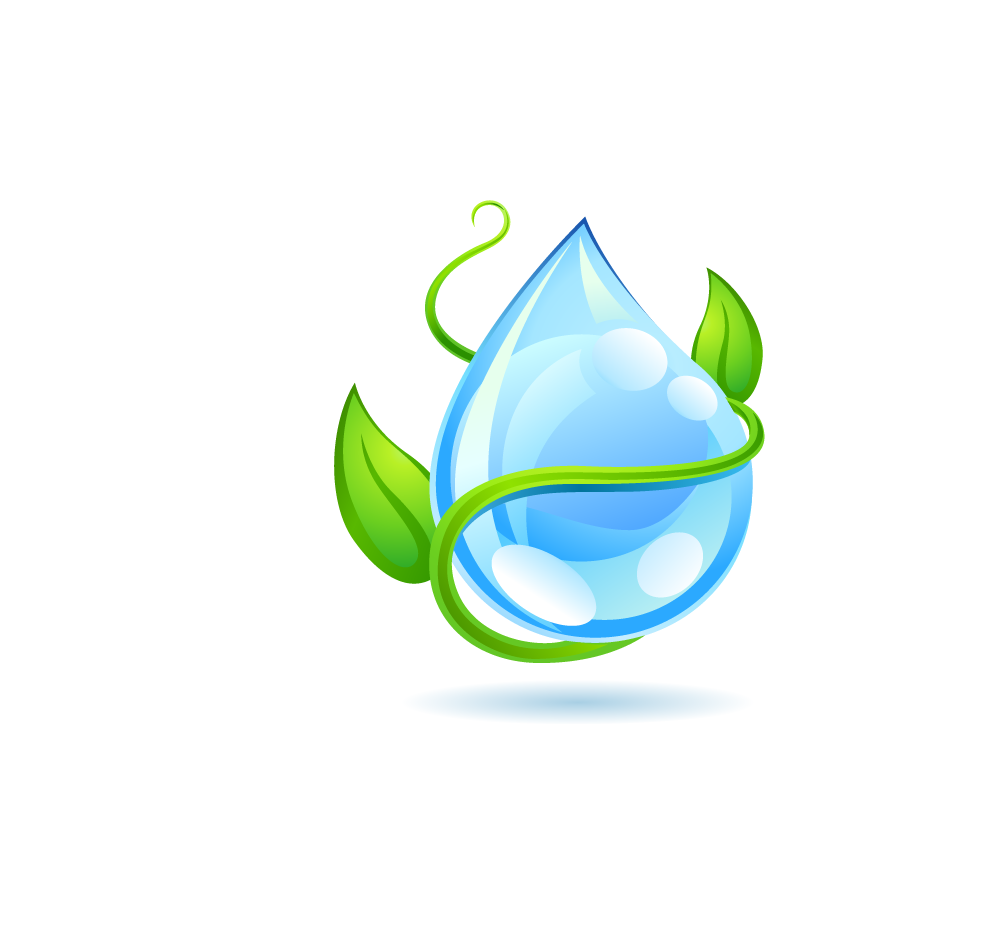 Water Leaf Tree Free HQ Image Transparent PNG Image