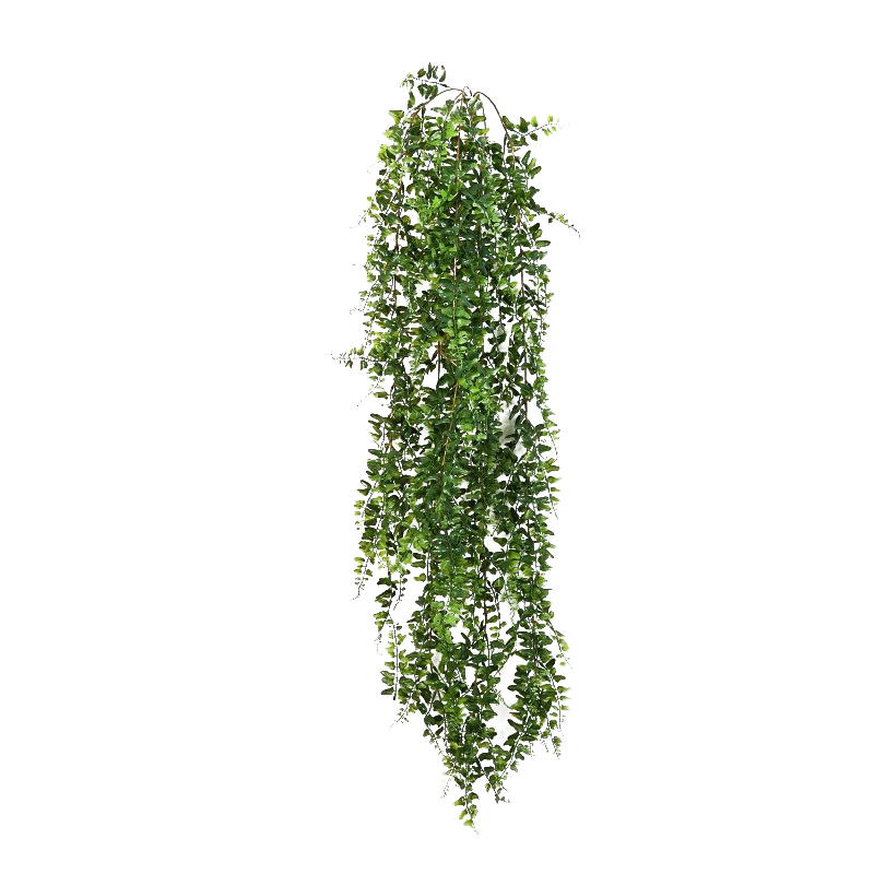 Leaves Green Ivy Hanging Download HD Transparent PNG Image