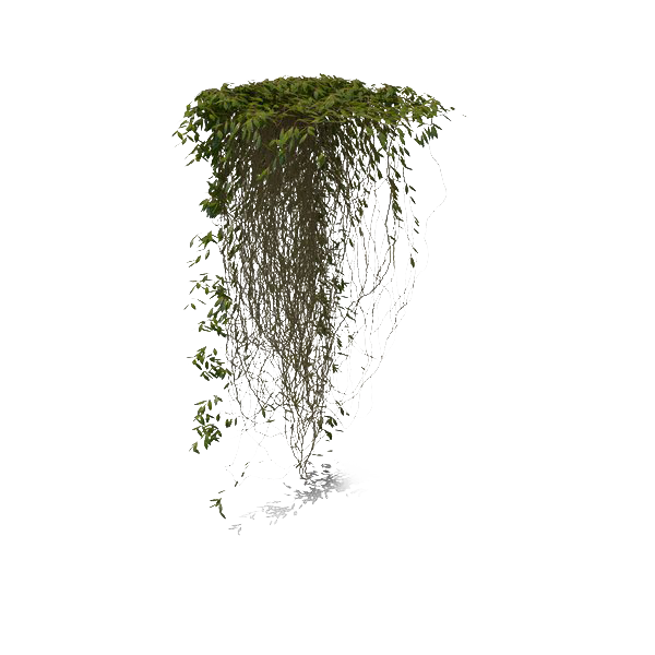 Ivy Hanging PNG Free Photo Transparent PNG Image