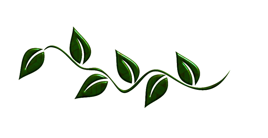 Leaves Green HD Image Free Transparent PNG Image