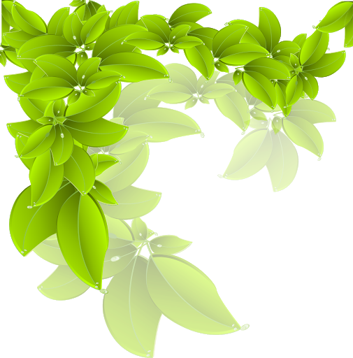 Green Leaves Organic Free HQ Image Transparent PNG Image