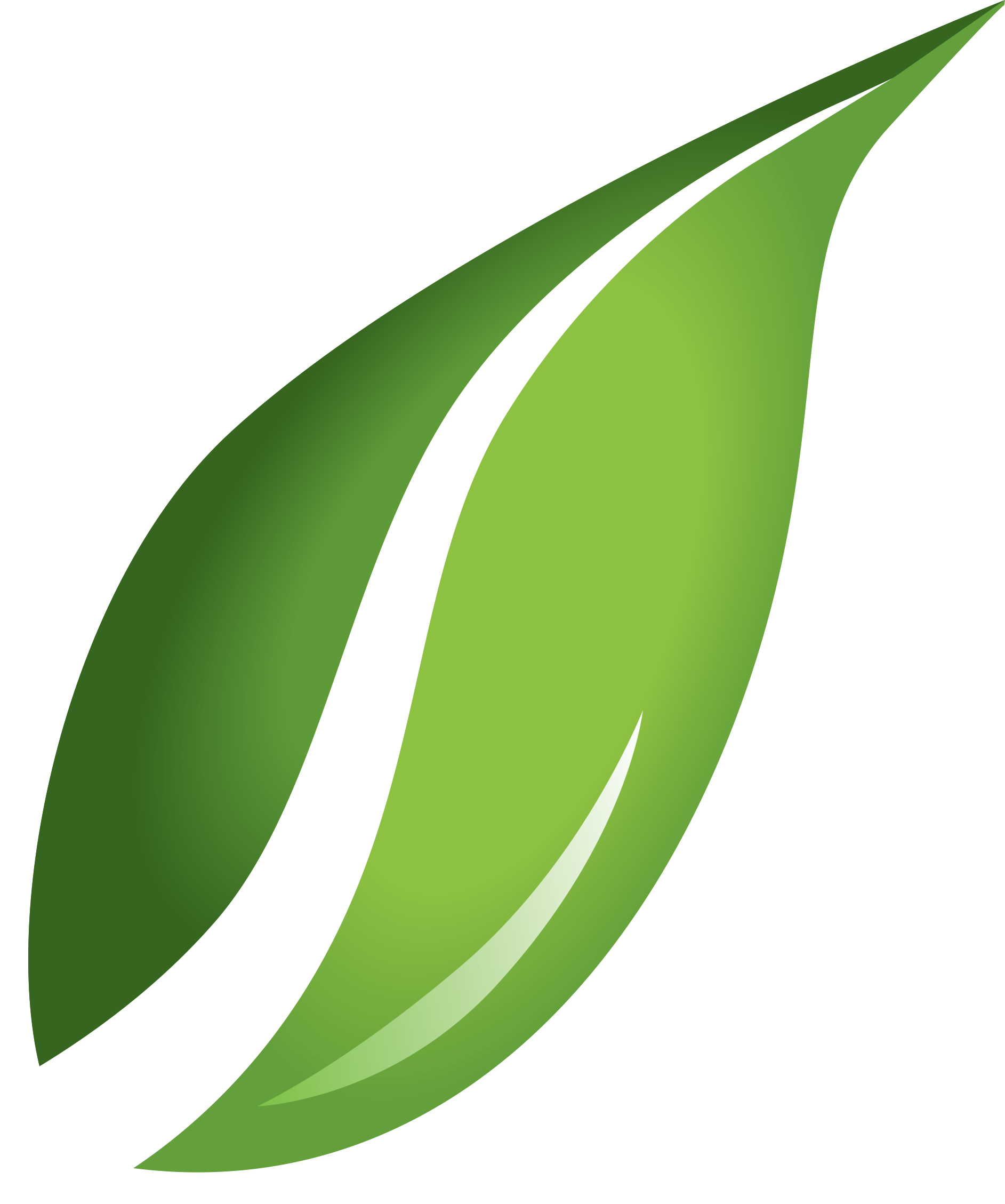 Single Green Leaves Free PNG HQ Transparent PNG Image