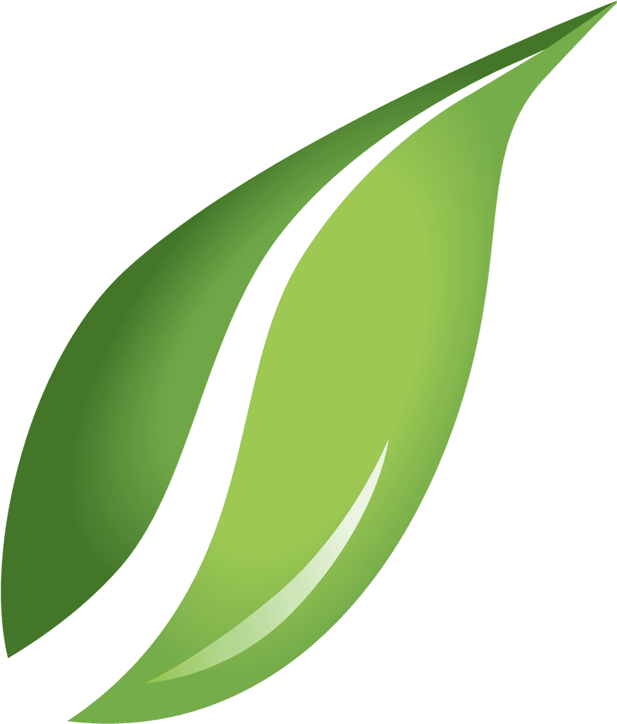 Photos Single Green Leaves Free Transparent Image HQ Transparent PNG Image