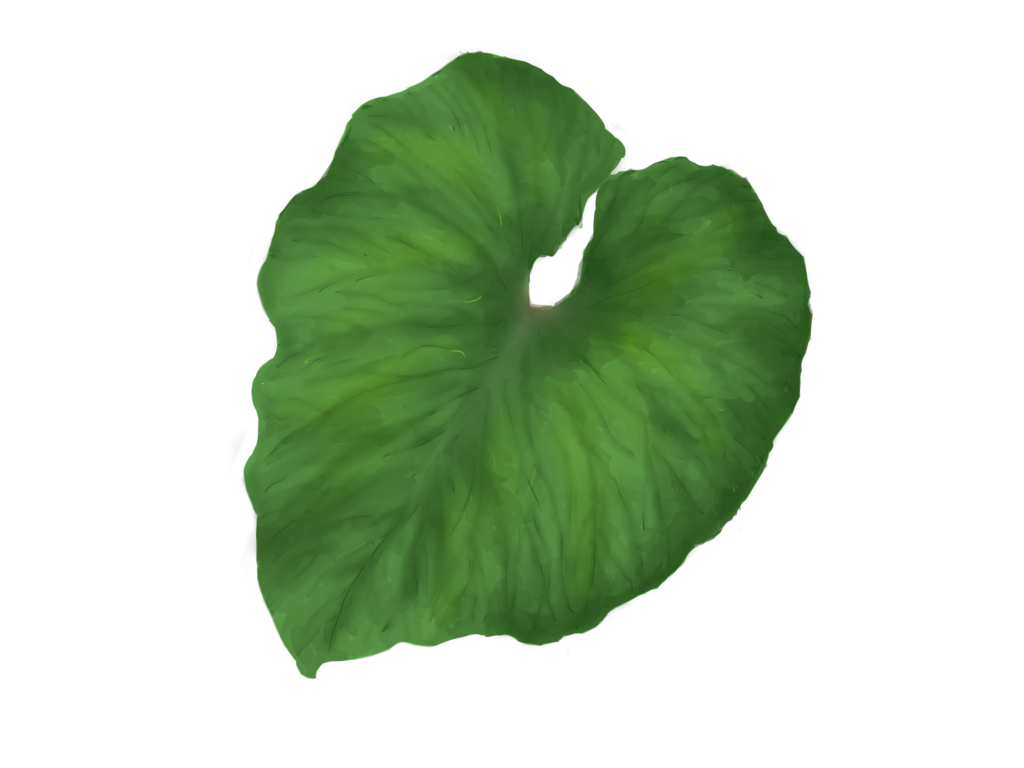 Single Green Leaves PNG Free Photo Transparent PNG Image