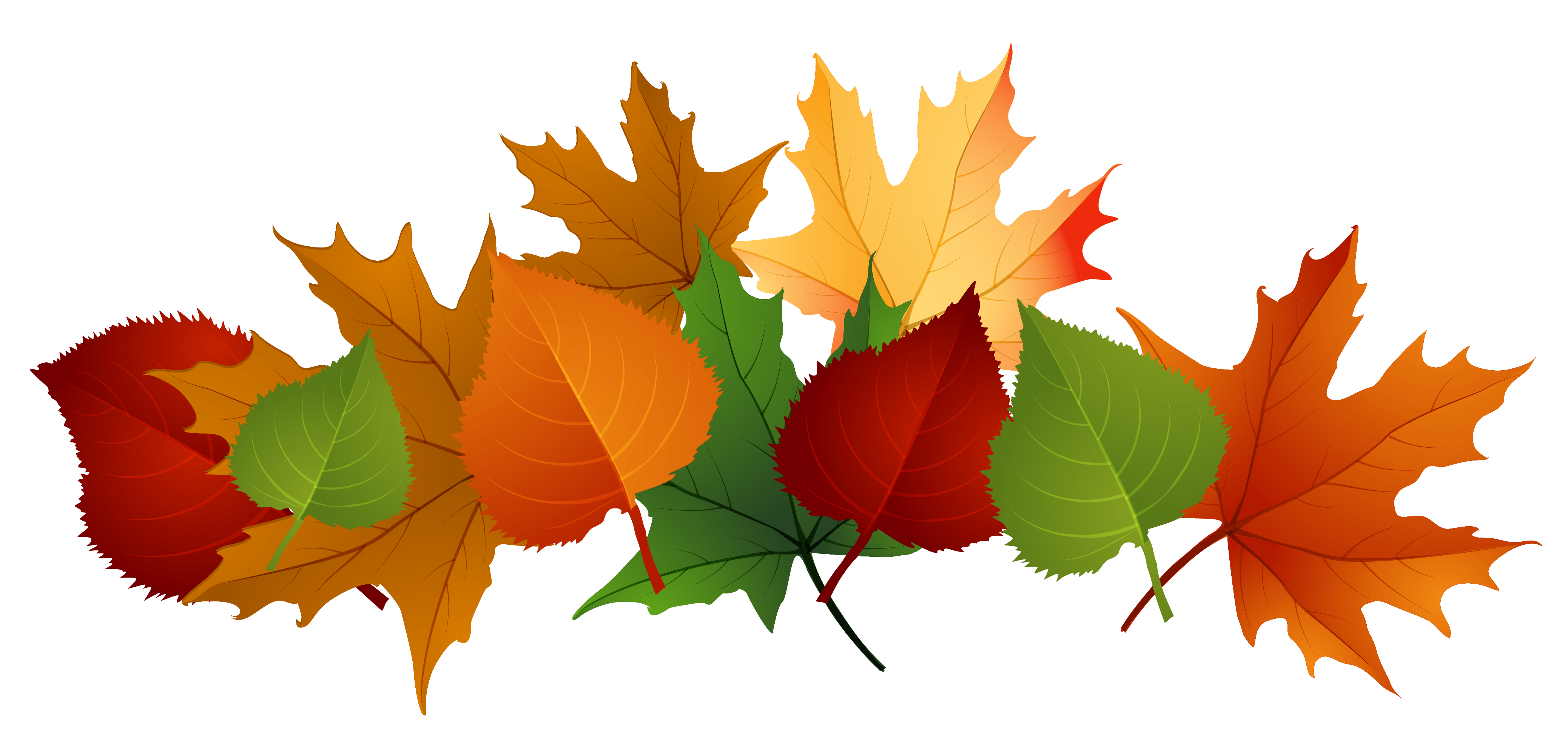 Autumn Leaves Transparent Image Transparent PNG Image