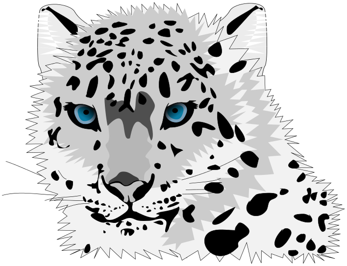 Leopard Free Download Transparent PNG Image