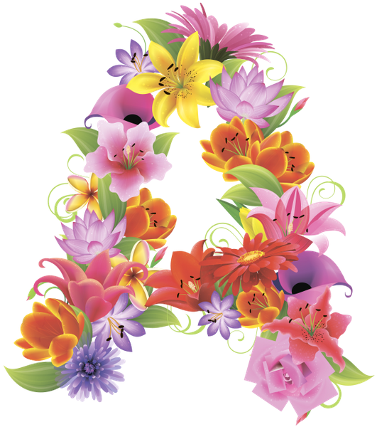 Alphabet Flower PNG Free Photo Transparent PNG Image