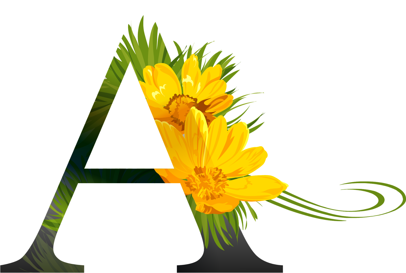 Alphabet Flower Photos Download HD Transparent PNG Image