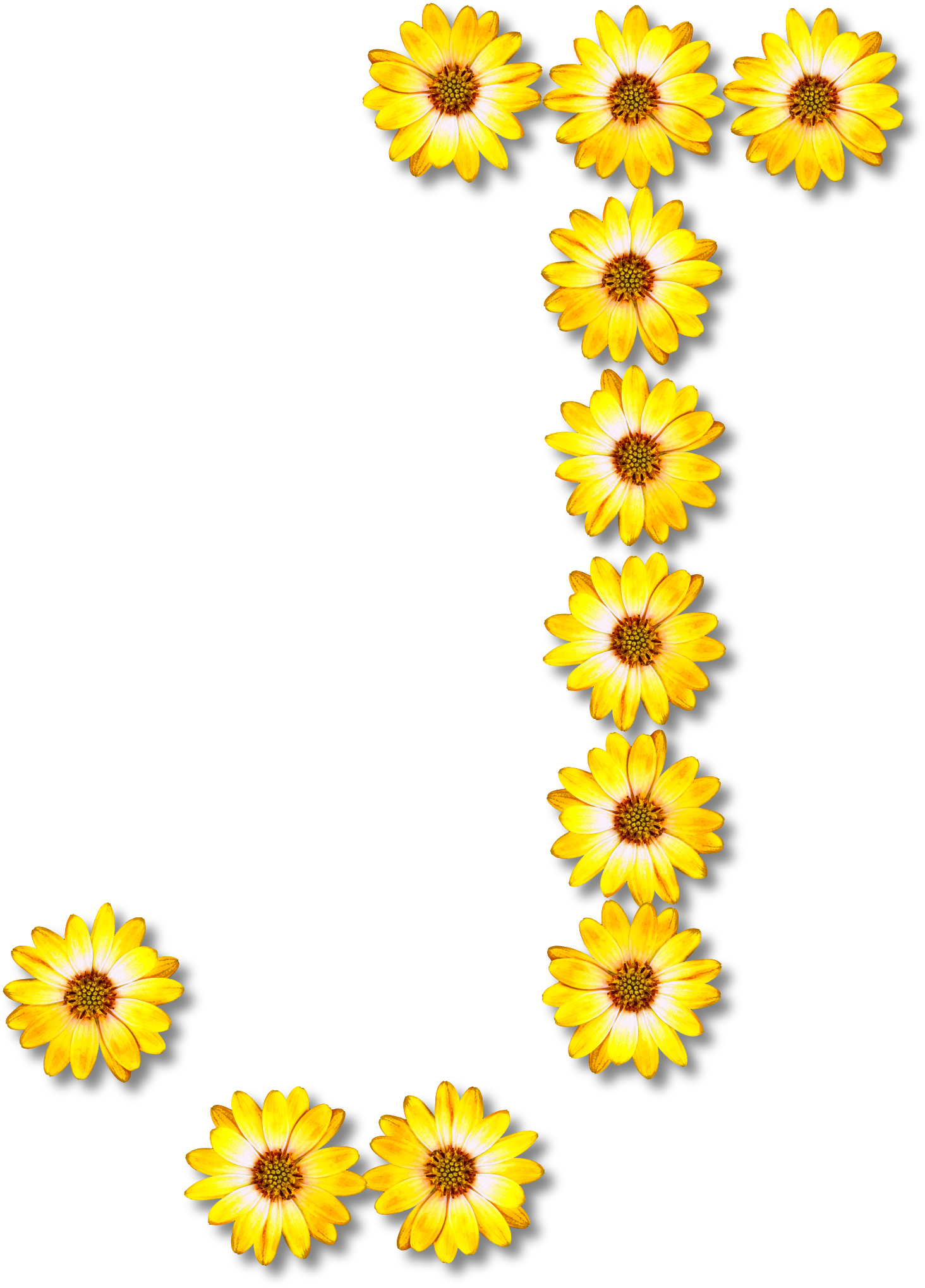 Alphabet Flower Free Download Image Transparent PNG Image