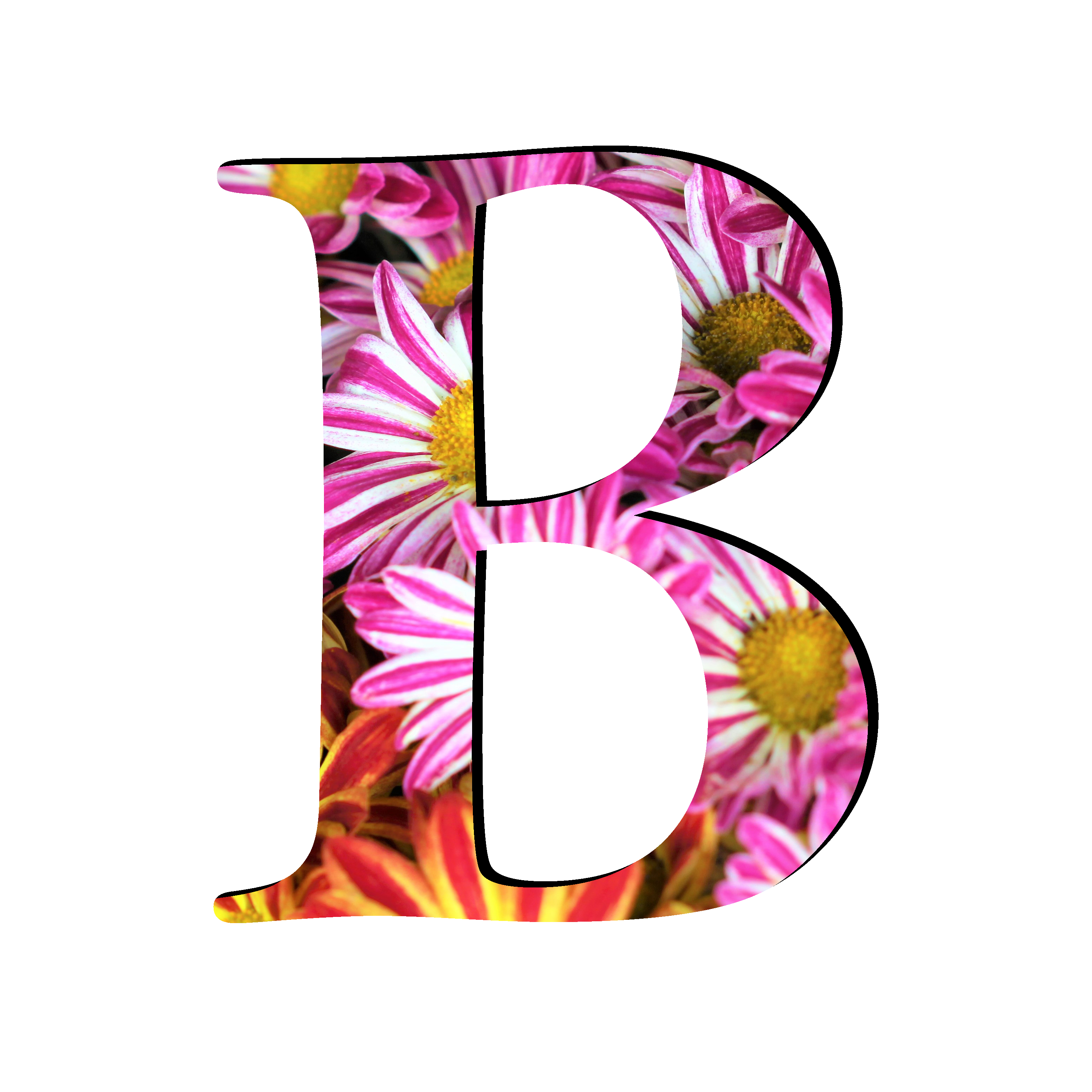 Picture B Letter Free PNG HQ Transparent PNG Image