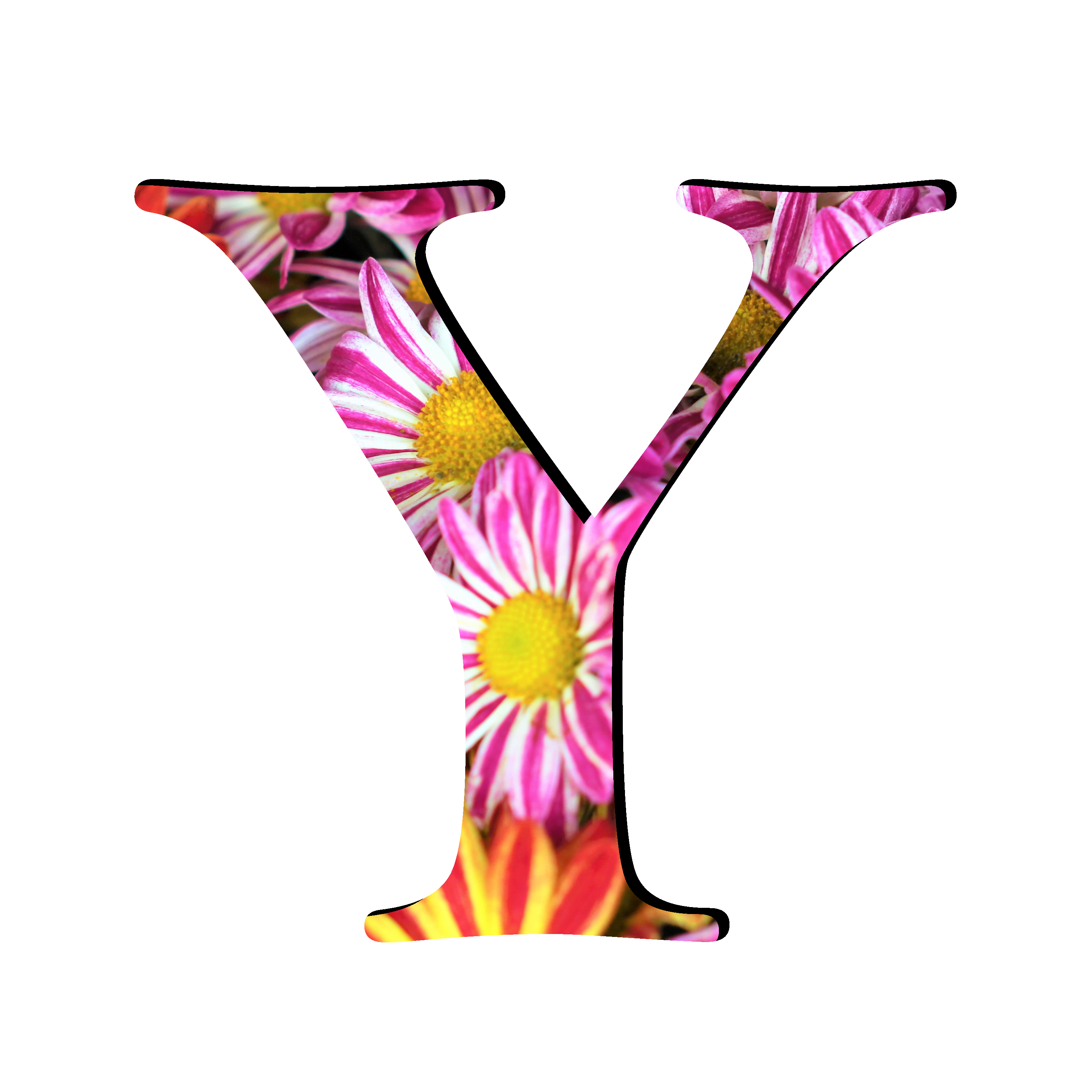 Y Picture Letter Free Photo Transparent PNG Image