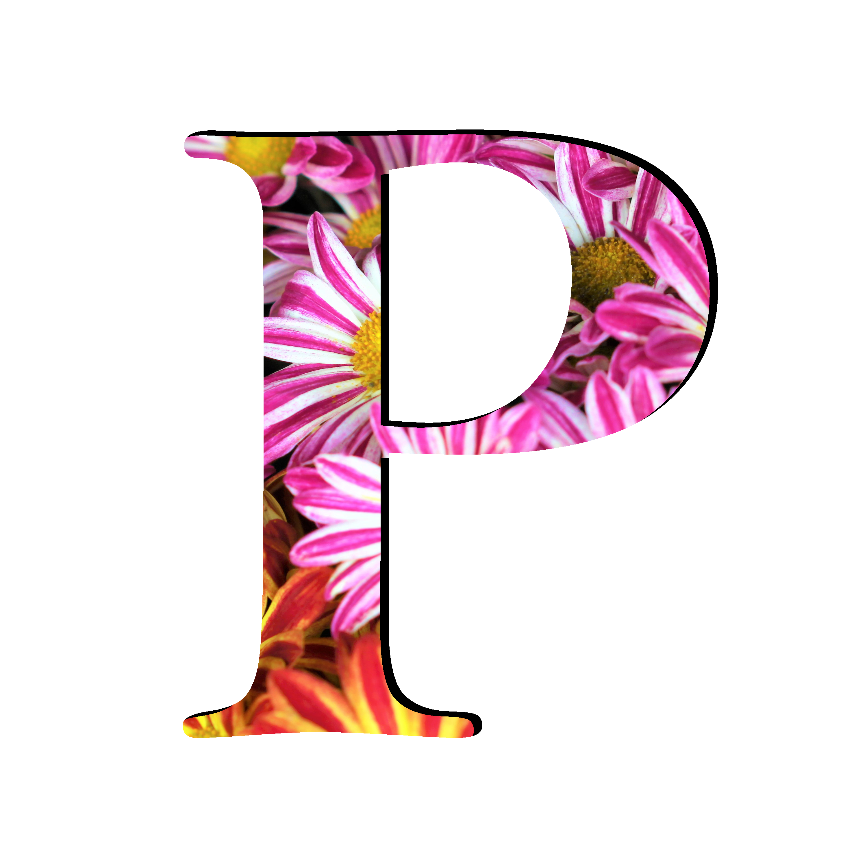 P Letter PNG Free Photo Transparent PNG Image