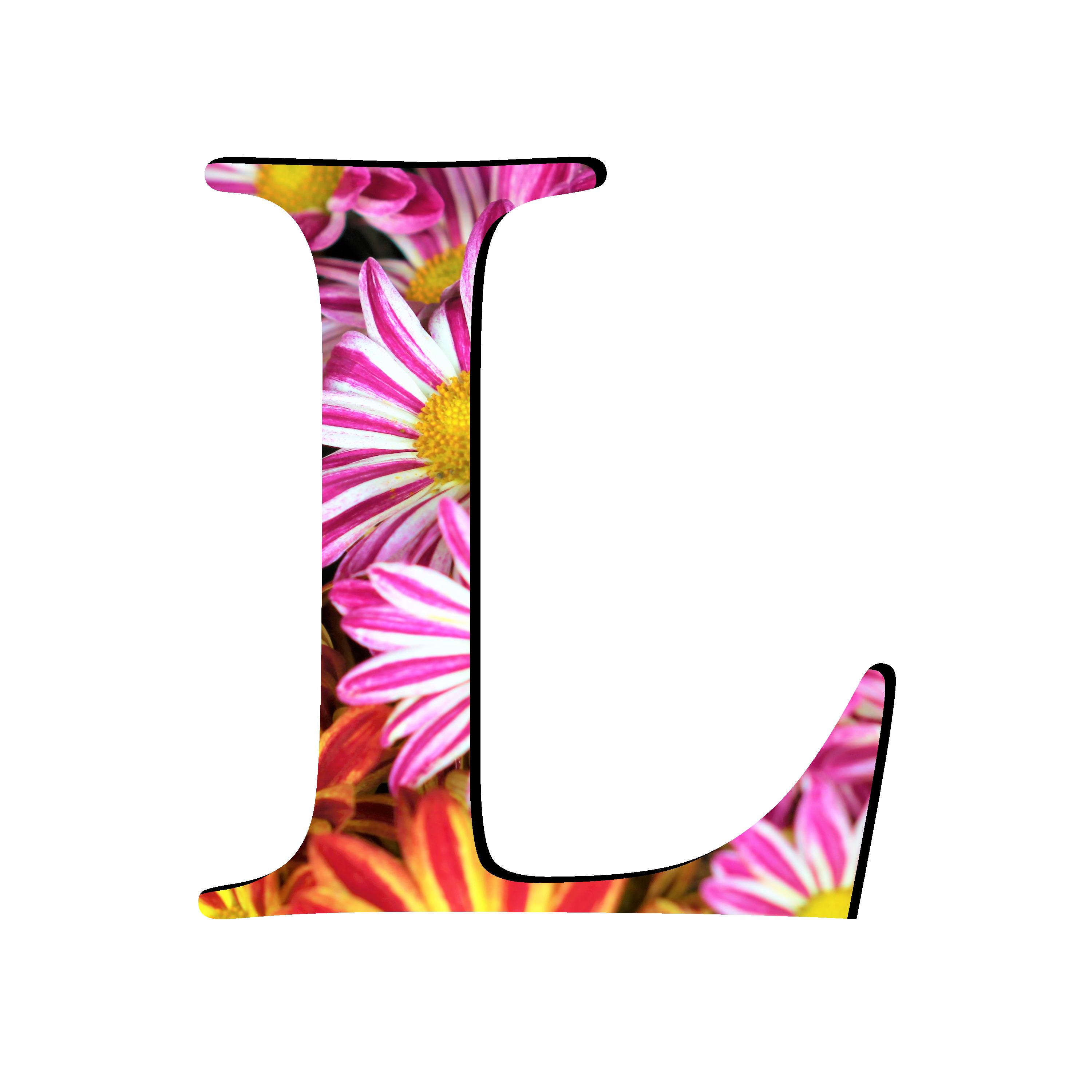 Picture L Letter Free PNG HQ Transparent PNG Image