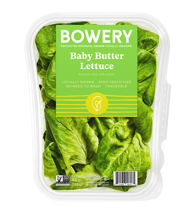 Lettuce Organic Butterhead Free PNG HQ Transparent PNG Image