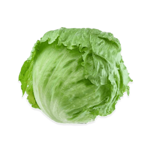 Lettuce Pic Green Butterhead Download HD Transparent PNG Image