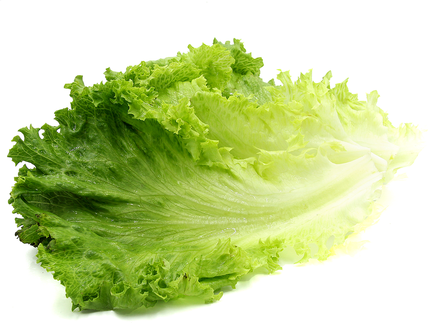 Green Organic Lettuce Free Download PNG HD Transparent PNG Image