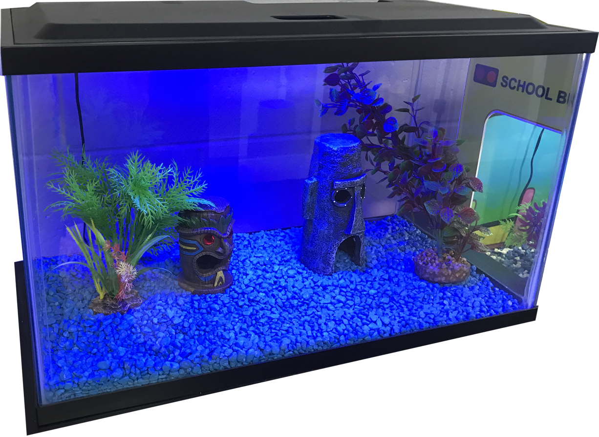 Blue Light Fish Tank Free Download PNG HD Transparent PNG Image