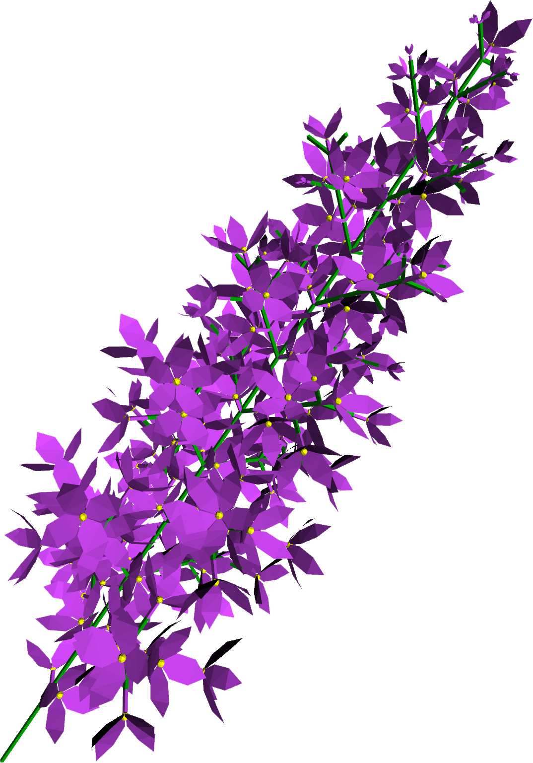 Lilac Transparent Transparent PNG Image