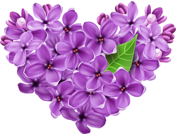 Lilac Transparent Background Transparent PNG Image