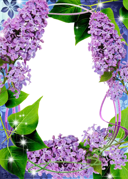 Lilac Transparent Transparent PNG Image