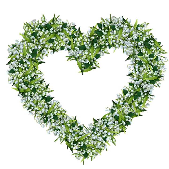 Lily Of The Valley Photo Transparent PNG Image