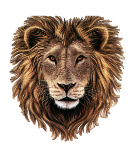 Lion Head Clipart Transparent PNG Image