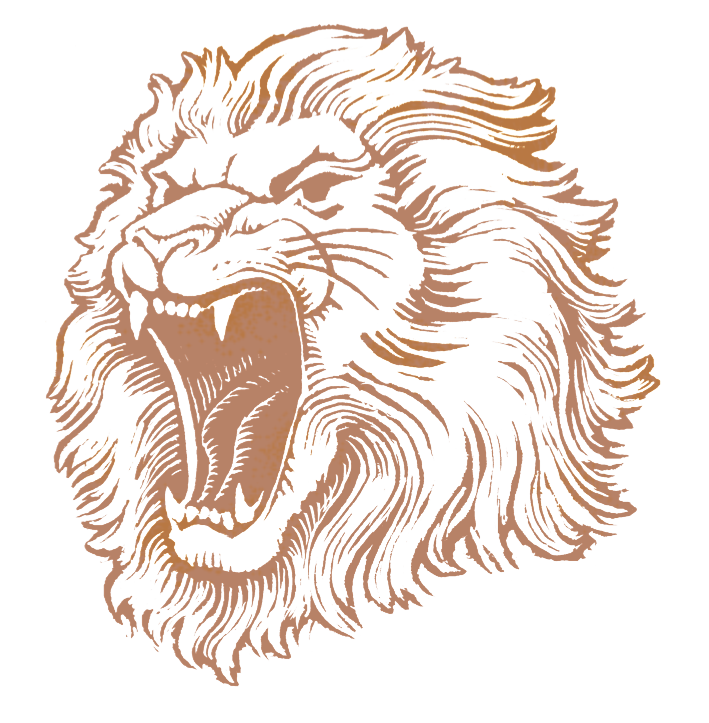 Lion Head Image Transparent PNG Image