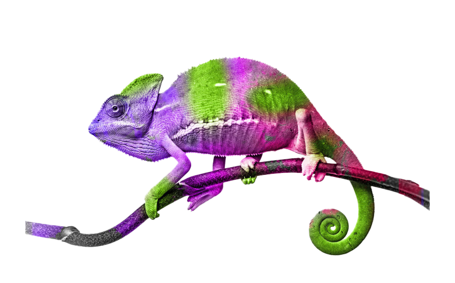 Purple Picture Lizard PNG File HD Transparent PNG Image