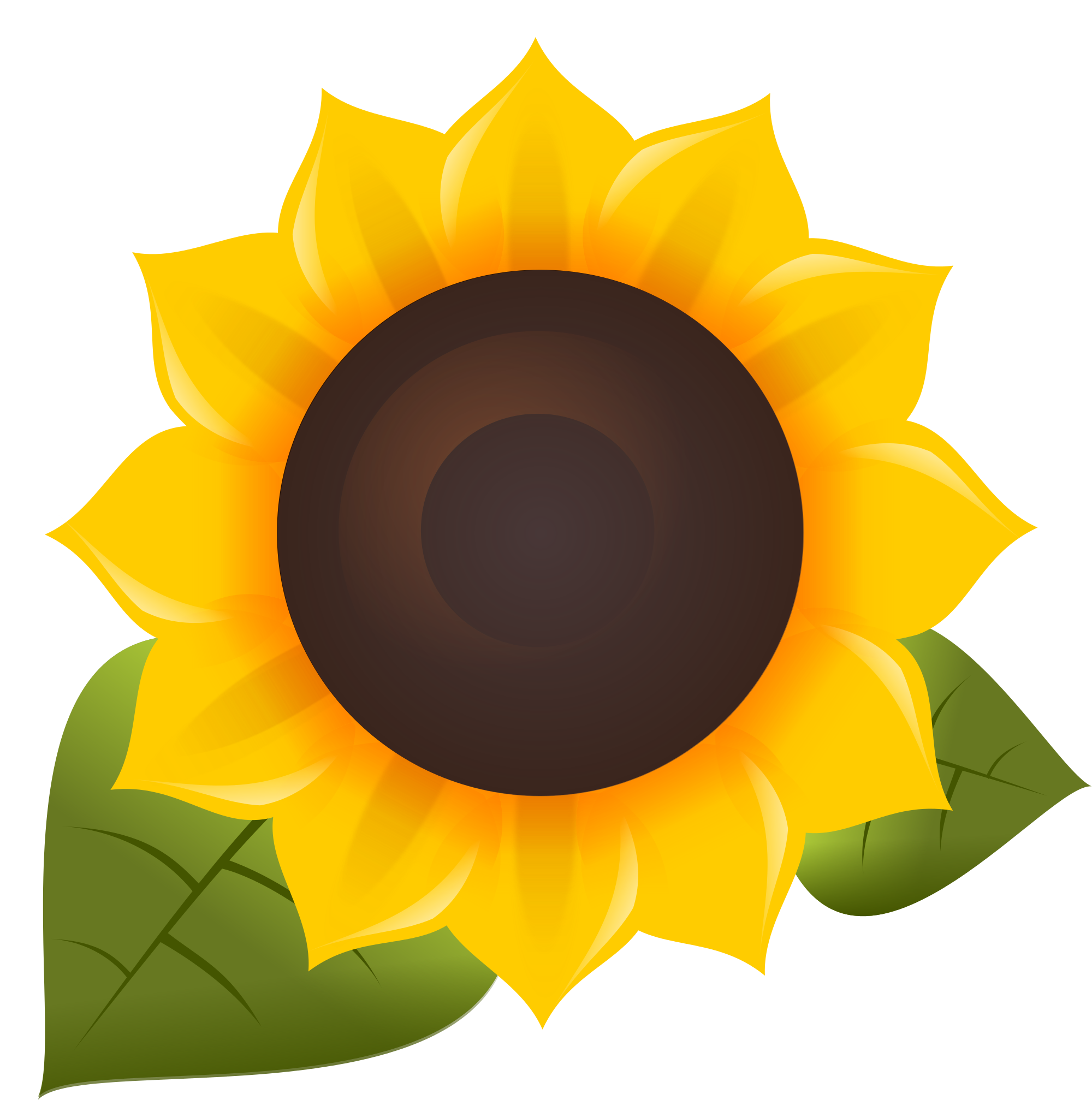 Oil Common Sunflower Software Free Download PNG HQ Transparent PNG Image