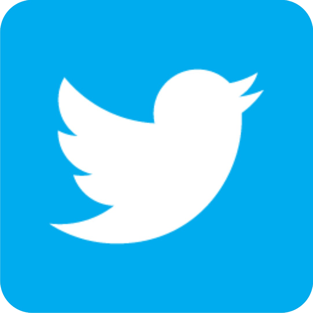 Icons Media Twitter Computer Social Logo Bird Transparent PNG Image