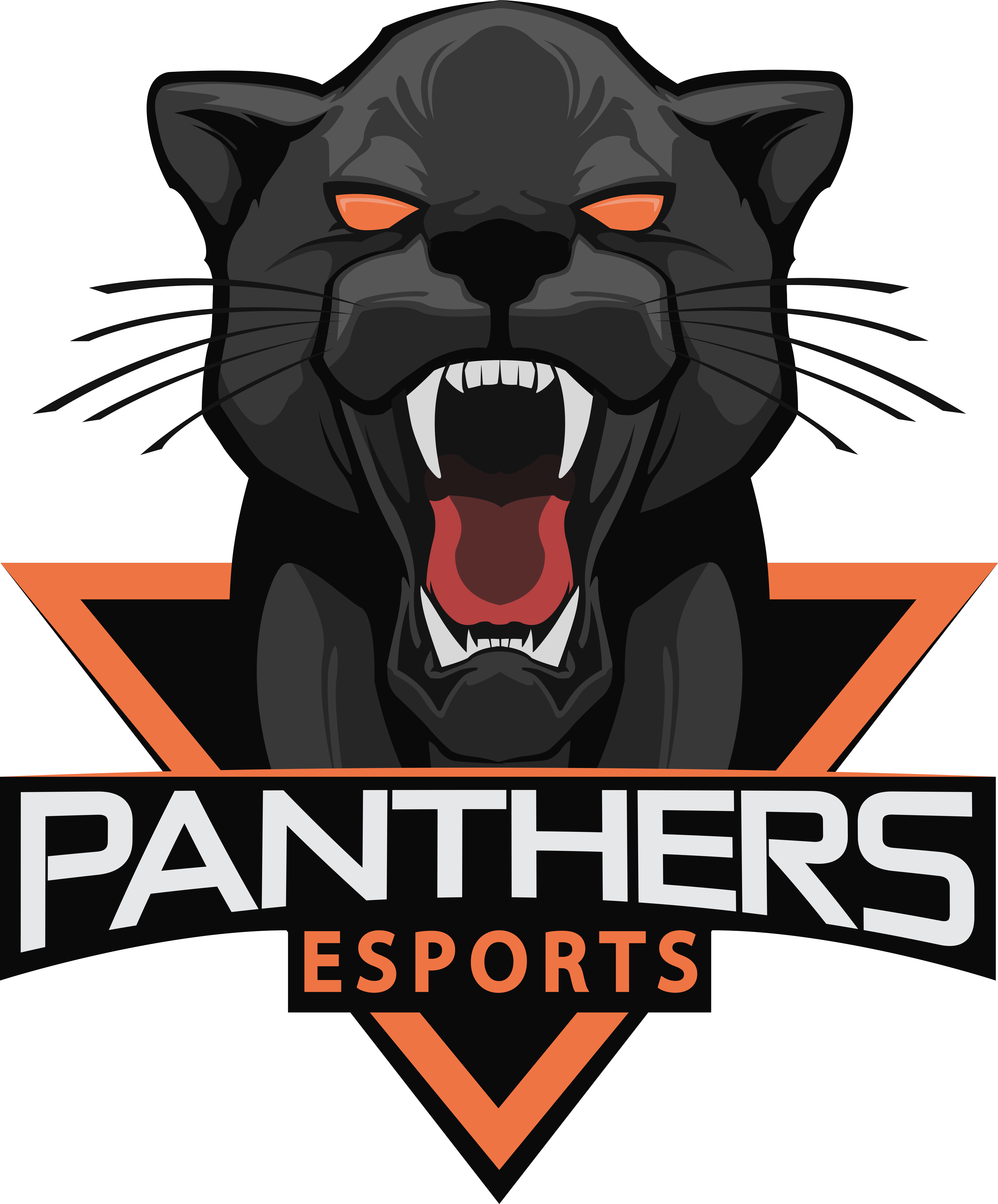 Counter-Strike: Panther Offensive Global Whiskers Sports Black Transparent PNG Image