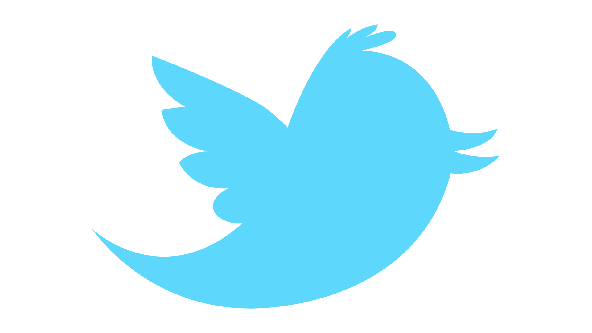 Information Twitter Advertising Logo Transparent Icon Transparent PNG Image