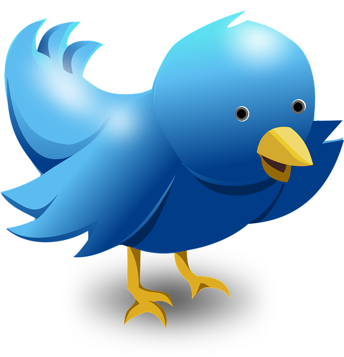 Cuteness Logo Twitter Bird Illustration Download HQ PNG Transparent PNG Image