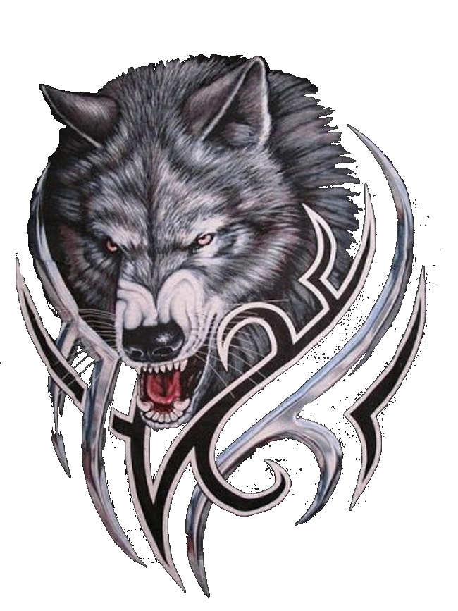 Gray Werewolf Wolf Bitcoin Logo PNG Download Free Transparent PNG Image