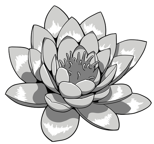 Lotus Tattoos Png Clipart Transparent PNG Image