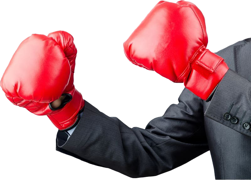 Gloves Mma Free HQ Image Transparent PNG Image